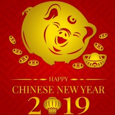 Celebrating the year of the Pig